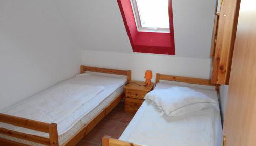 Sonnenblume - Foto 5