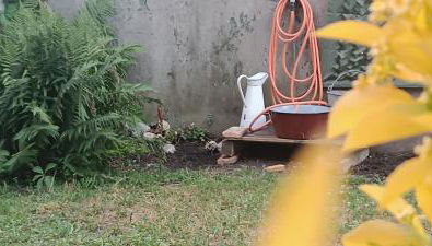 Maison idéalement située toutes mobilités - Foto 3, Garden