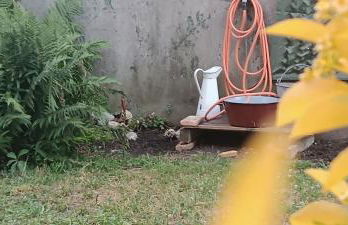 Maison idéalement située toutes mobilités - Foto 3