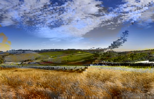 Longview Vineyard - Foto 36