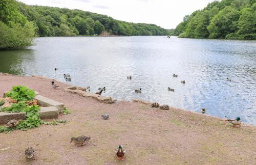 Woodman's Cottage - Foto 32