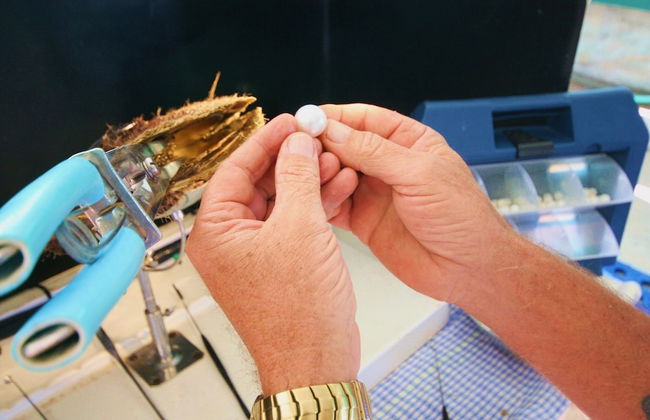 Cygnet Bay Pearls - Foto 36