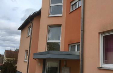 Sonnenschein - Foto 4