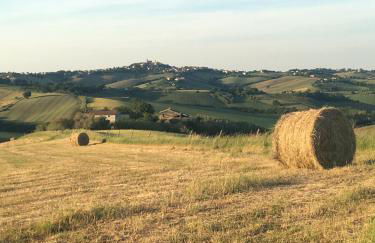 Agriturismo Tenuta Belvedere - Foto 61