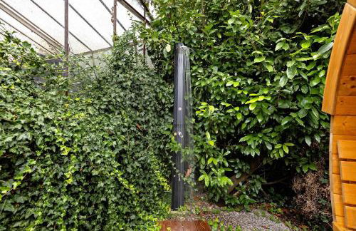 Seeluft direkt am Wasser - Foto 29