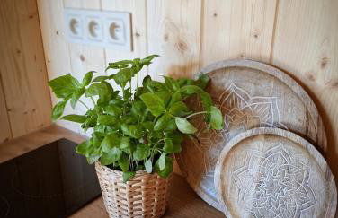 Jurta w Dolinie Sanu - Foto 9