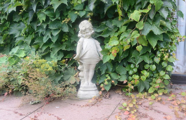 Wiehen Inn - Foto 27