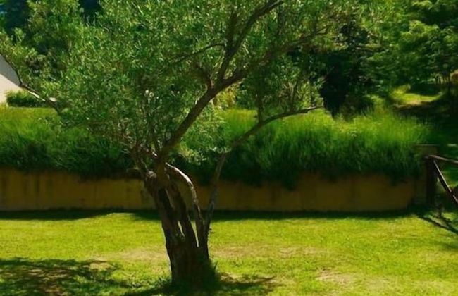 Agriturismo Acero Rosso - Foto 28