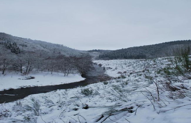 Holiday Home in Houffalize Near Nisramont - Photo 28