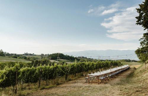 Perelli Winery - Foto 24