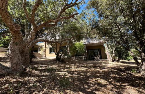 Villa de luxe surplombant la mer, piscine suspendue - Foto 55