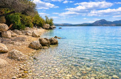 3L Apartment and Studio - Photo 31