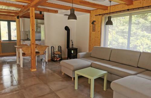 Leśne Wspomnienia - Foto 25