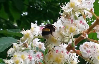 Caterina Residence - Foto 50