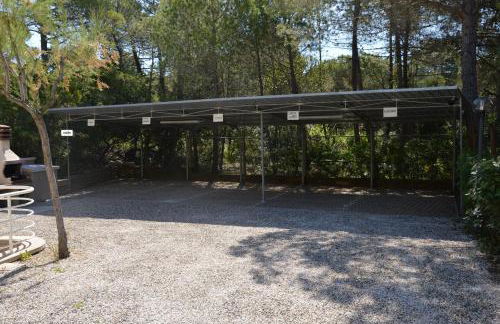 Le tre Caravelle -La Nina- 50m dal mare - WI-FI - Foto 17