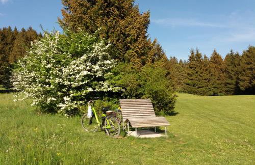 Villa Leni im Schwarzwald - Foto 18