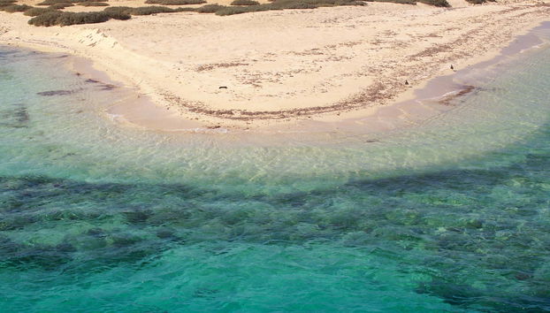 Snorkel em Sharm El Luli e em Wadi El Qulaan
