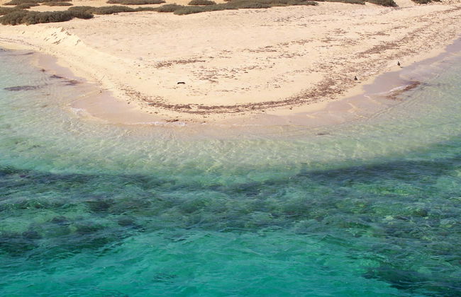 Snorkel en Sharm El Luli y Wadi El Qulaan - Foto 4