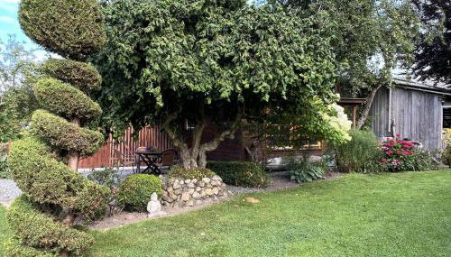 Kreatives Wohnen unter Reet ruhig und doch zentral - Foto 5, Garden