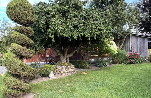 Kreatives Wohnen unter Reet ruhig und doch zentral - Foto 5