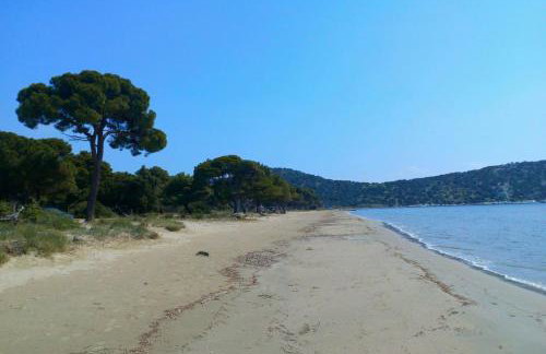 Belle Hélène - Foto 54