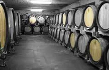 Villa Nina with Private pool near Poreč - Foto 28