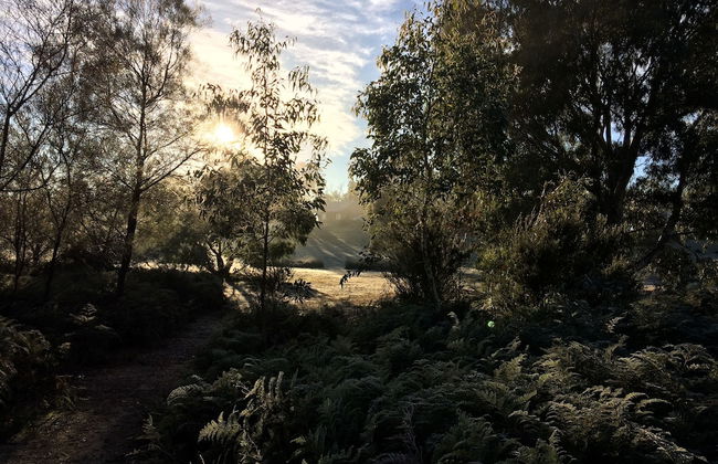 Grampians Pioneer Cottages - Foto 43