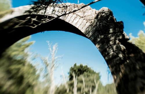 Aldea Rural Pazos De Arenteiro - Foto 48