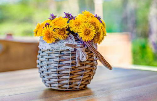 Chalet Plitvice II by Interhome - Foto 16