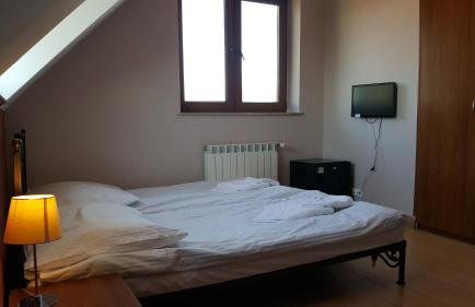 Willa Dzika Róża - Foto 18