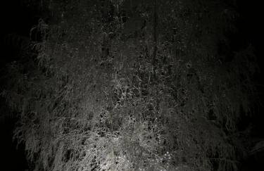 Siedlisko Wiłkupie, Dom nad stawem - Foto 29