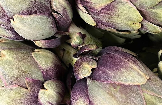 Lyon: Una experiencia gastronómica privada en 3 restaurantes - Foto 18