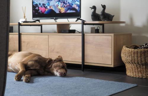 12 Casa d'Avó - Foto 35