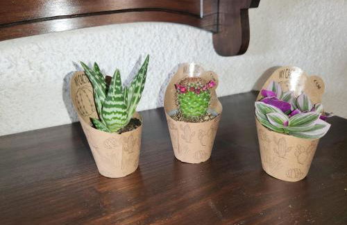 Casa MedeFaby - Foto 48