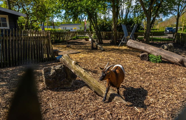 Elegant Chalet 25 km Amsterdam - Foto 18