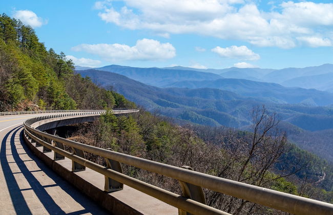 Jireh Mount Cabin - Foto 30