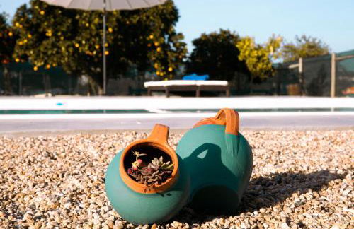 Delmira Vineyard House - Foto 13