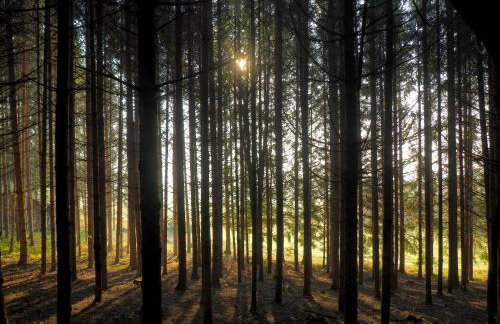 House Sara - Foto 21