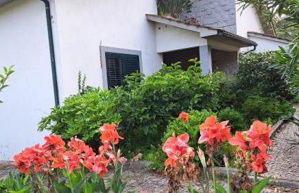 Casa Pinho - Foto 32