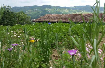 La Luna Buona - Foto 59