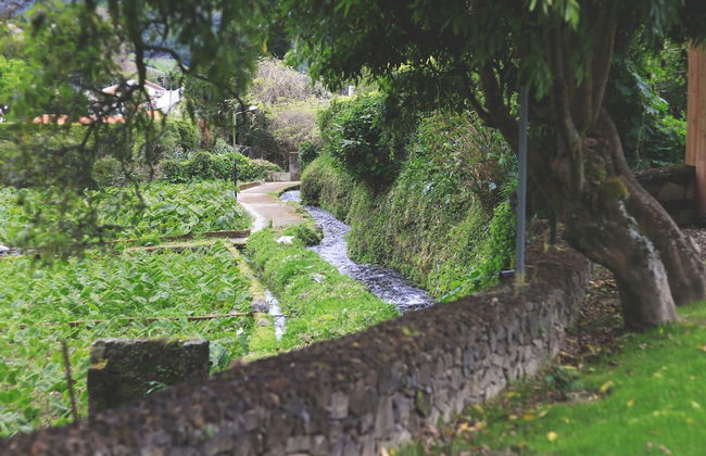 World's Nests Furnas Pods - Foto 32