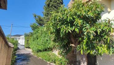 Los Cipreses - Photo 4