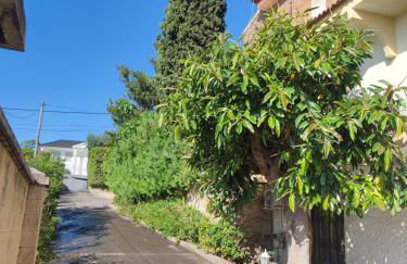 Los Cipreses - Photo 4