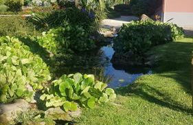 Casal do Arcebispado - Foto 4