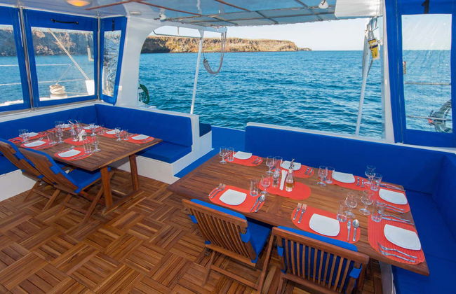 North Galapagos Islands 8 Day Cruise - Photo 7