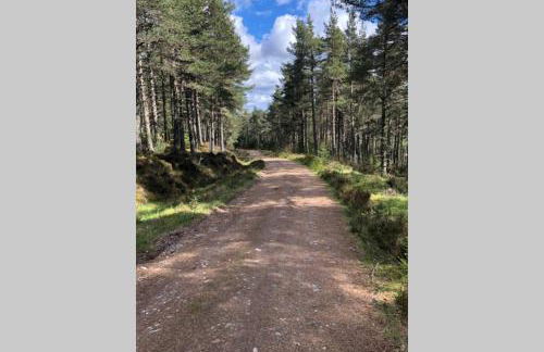 The Annex at Bonnieview - Photo 16