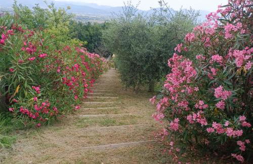 Casa vacanze Castellara - Foto 17