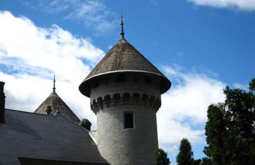 Charming Castle in Serrieres-en-chautagn With Pool - Foto 16
