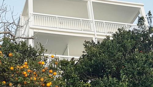 Apartmani Anda - Foto 3