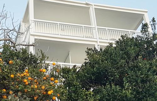 Apartmani Anda - Photo 3